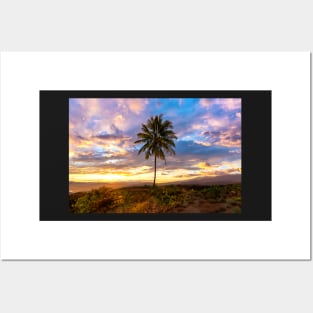 Palm Tree at Sunset Posters and Art
